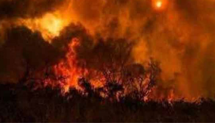 جندران کے جنگلات میں ایک ماہ کے دوران تیسری مرتبہ آتشزدگی کا واقعہ پیش آیا ہے— فوٹو: فائل
