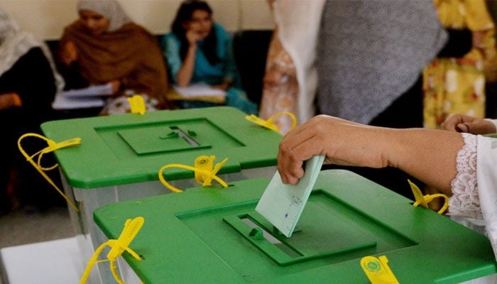 8 فروری کے انتخابات میں ووٹرزکی تعداد12 کروڑ85 لاکھ 85 ہزار760 تھی ، الیکشن کمیشن/ فائل فوٹو