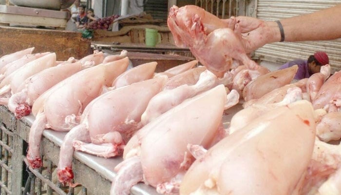 غیرقانونی دھندے کی وجہ سے مرغی کی قیمت بڑھ کر840 روپے فی کلو تک پہنچ چکی ہے: ڈی سی کوئٹہ/ فائل فوٹو