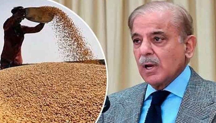 وزیراعظم شہباز شریف نے تحقیقاتی کمیٹی کے سربراہ کامران علی افضل کو گندم کی درآمد کے معاملےکی رپورٹ پیر تک جمع کرانے کی ہدایت کی ہے/ فائل فوٹو
