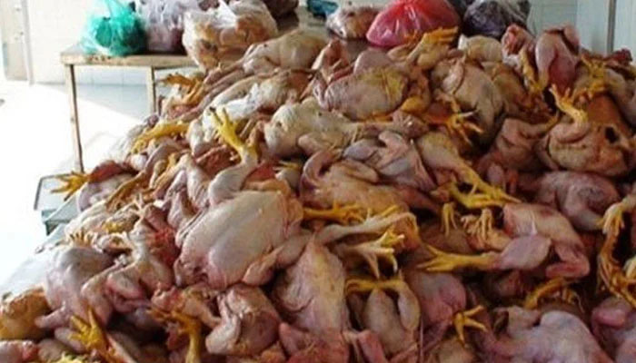 لاہور: مردہ مرغیاں بیچنے والی دکانیں مستقل طور پر سیل کرنے کا حکم