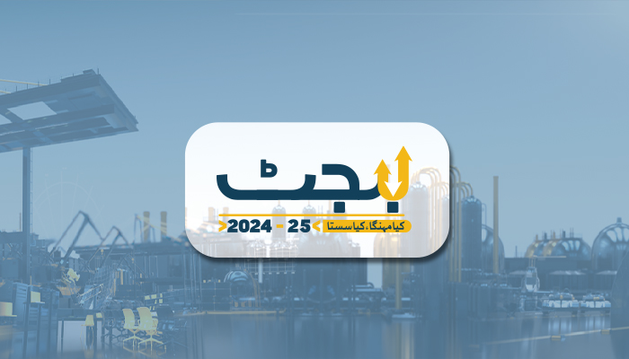 بجٹ 2024 : ترقیاتی منصوبوں کیلئے 1400 ارب مختص