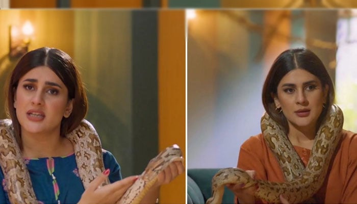 اداکارہ کبریٰ خان نے ڈرامے میں  سانپ  کیساتھ سین کیسے کیا؟