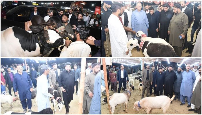 گورنر سندھ نے قربانی کیلئے 100 اونٹ، 10 بیل اور 100 بکرے خرید لیے