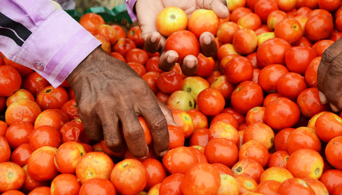 عید الاضحیٰ پر منافع خوروں کی چاندی، ٹماٹر ایک روز میں 140 روپے کلو مہنگے