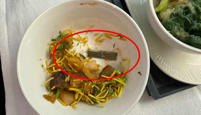 ائیرانڈیا کی پرواز میں مسافر کو دیے گئے کھانے سے تیزدھار بلیڈ نکل آیا
