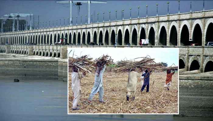 سکھر بیراج سے پانی کی فراہمی بند، فصلیں متاثر ہونے کا خدشہ