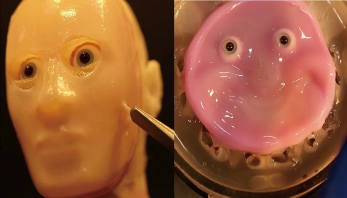 سائنسدانوں نے حقیقی انسانی جِلد سے روبوٹس کے چہرے تیار کرلیے