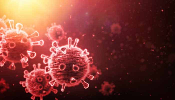 کراچی میں ’زیکا وائرس‘ کی موجودگی کا انکشاف، یہ وائرس کیسے پھیلتا ہے؟