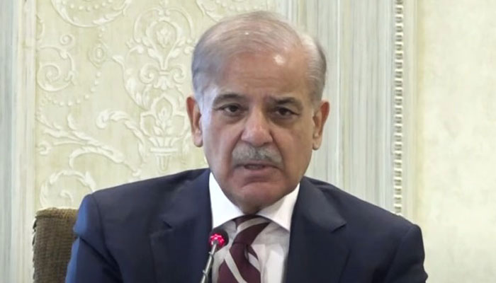 نیتن یاہو کھلے عام درندگی کر رہا ہے: وزیراعظم شہباز شریف