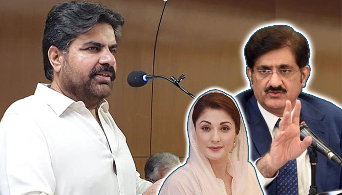 مریم نواز کے ریلیف اقدامات پر مراد شاہ کا الفاظ کا چناؤ تھوڑا نامناسب تھا: ناصر شاہ