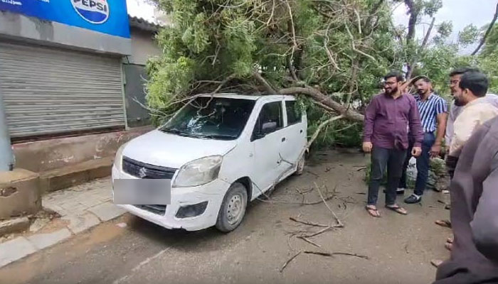 کراچی کے مختلف علاقوں میں تیز ہواؤں کے باعث درخت گرگئے، خاتون جاں بحق