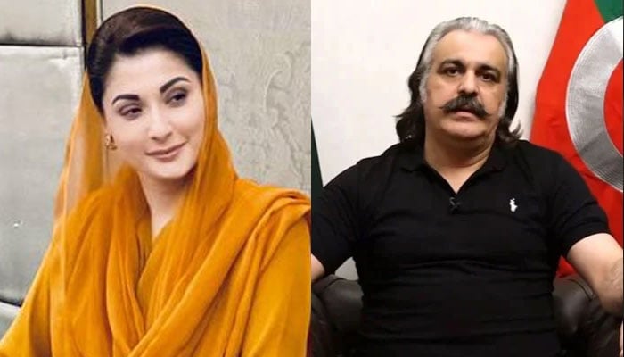 علی امین نے پھر مریم نواز کو نشانے پر لے لیا، عورت کارڈ استعمال کرنے کا الزام