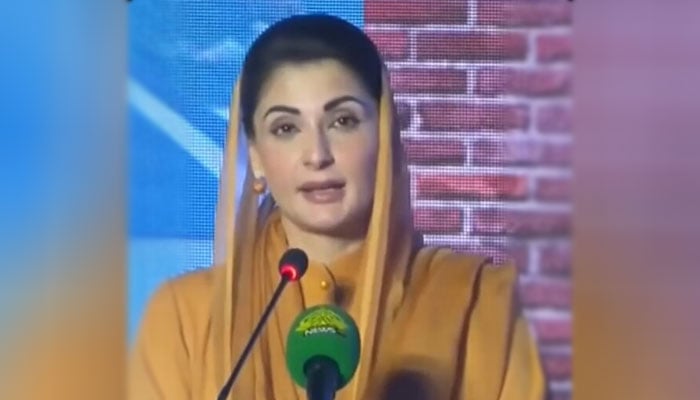 وزیراعلیٰ پنجاب نے اپنی چھت اپنا گھر اسکیم کا افتتاح کردیا