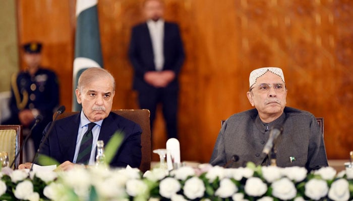 فلسطینیوں سے یکجہتی کیلئے اے پی سی: جے یو آئی اور جماعت اسلامی کی 2 ریاستی حل کی مخالفت