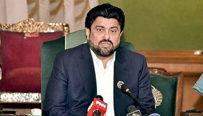 گورنر سندھ نے فزیکل میڈیسن اینڈ ری ہیبلی ٹیشن ترمیمی بل 2024 پر دستخط کر دیے