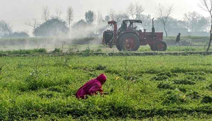 پاکستان زرعی آمدن پر انکم ٹیکس سے 65 ارب روپے جمع کر سکتا ہے: رپورٹ