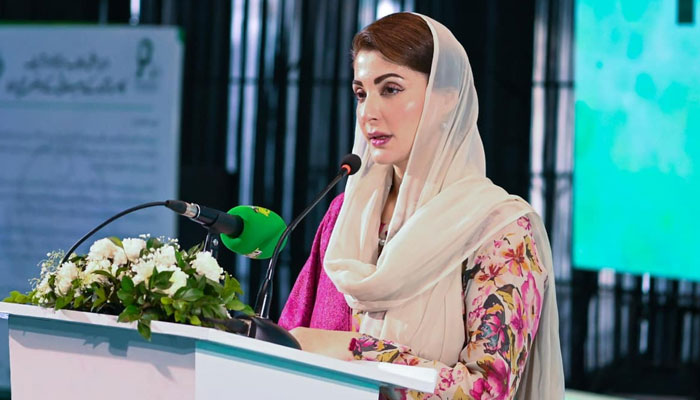 پی ٹی آئی کوئی سیاسی جماعت نہیں دہشتگرد گروہ ہے جسے ختم ہونا چاہیے: مریم نواز