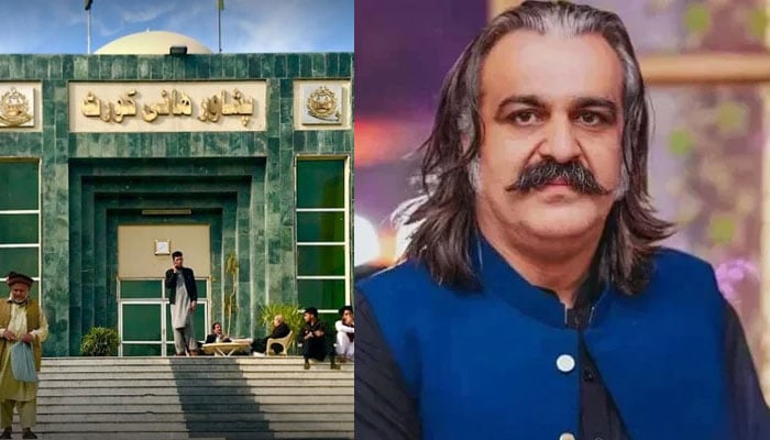 پشاور ہائیکورٹ کا علی امین کو درج مقدمات میں گرفتار نہ کرنے کا حکم