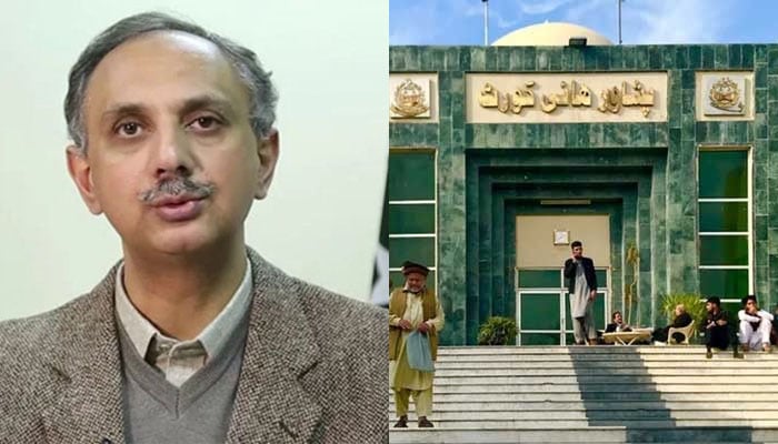 عمر ایوب کی ایک ماہ کیلئے راہداری ضمانت منظور، گرفتار نہ کرنے کا حکم