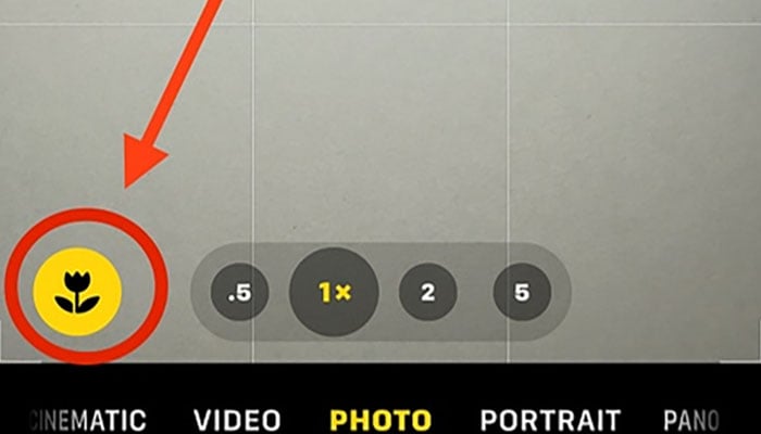 آئی فون کیمرا استعمال کرتے ہوئے نظر آنے والے اس فلاور آئیکون کا مقصد جانتے ہیں؟