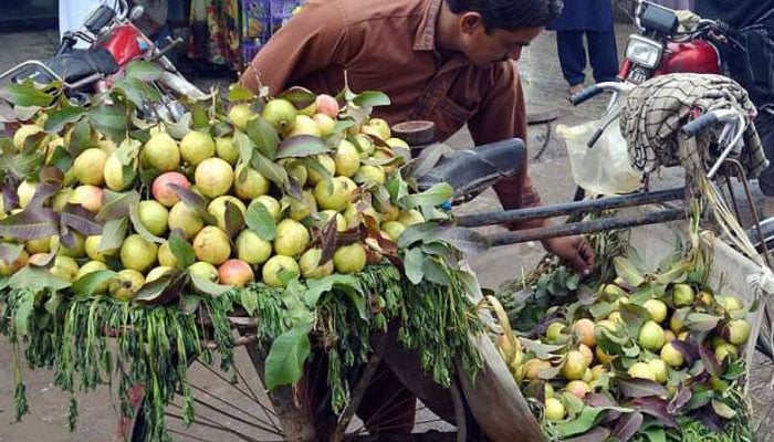 امرود 100 کے بجائے 120 روپے کلو کیوں بیچے؟ کوٹ ادو میں پھل فروش کیخلاف مقدمہ درج