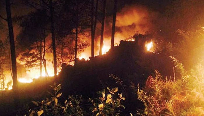 بلوچستان کے علاقے موسیٰ خیل  میں جنگلات میں آگ لگ گئی