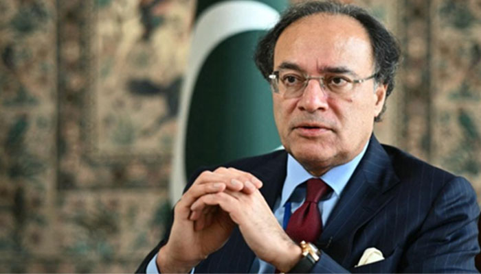 پاکستان کے معاشی استحکام کیلئے چینی سرمایہ کاری بہت اہم ہے: وزیر خزانہ