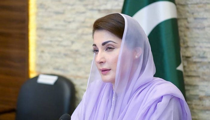 پنجاب: ملکی تاریخ میں پہلی مرتبہ دیہی خواتین کیلئے خصوصی بسیں چلانے کا فیصلہ