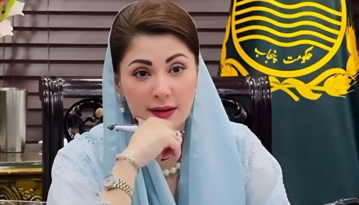 وزیر اعلیٰ مریم نواز پیپلز پارٹی کے پنجاب میں تحفظات پر بات کرنے کو تیار