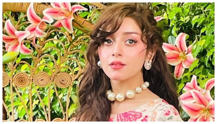 چیزیں برداشت سے باہر ہوچکیں، فون کرکے والدین سے میری موت کا پوچھا جا رہا ہے: علیزے شاہ پھٹ پڑیں