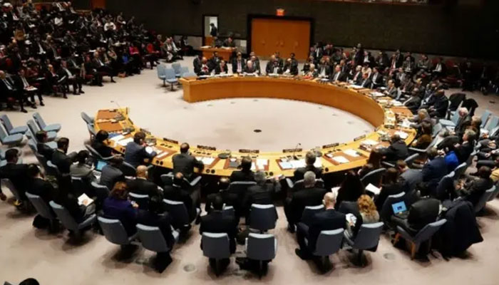 پاک بھارت کشیدگی کم کرنے کیلئے اجلاس بلایا جا سکتا ہے: صدر سلامتی کونسل