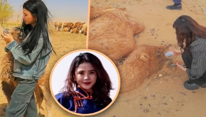 خاتون نے صحرا میں پیاس سے دم توڑتے اونٹ کی زندگی بچالی