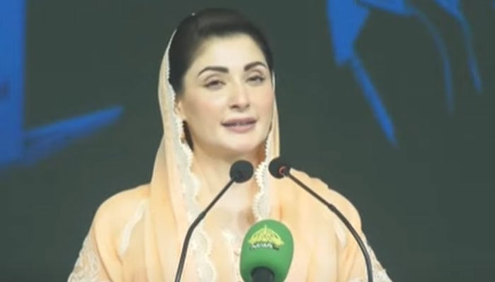 9 مئی کو جس ائیرفورس کے جہازوں کو جلایا گیا اسی نے رافیل طیارے گرائے، مریم نواز