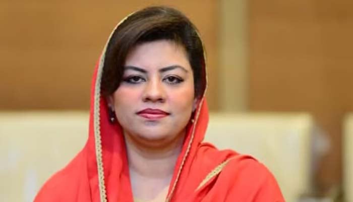 پی ٹی آئی کی آن لائن میٹنگ کے دوران کنول شوذب کی گفتگو کی ویڈیو لیک