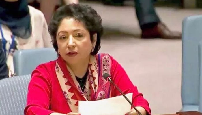 ٹرمپ نے مشرق وسطیٰ کے دورے میں اسرائیل کو سائیڈ لائن کردیا: ملیحہ لودھی