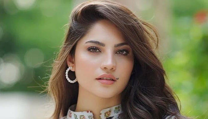 بی جے پی اپنے ہندوتوا نظریے سے بھارت کو تباہ کر رہی ہے: اداکارہ نیلم منیر