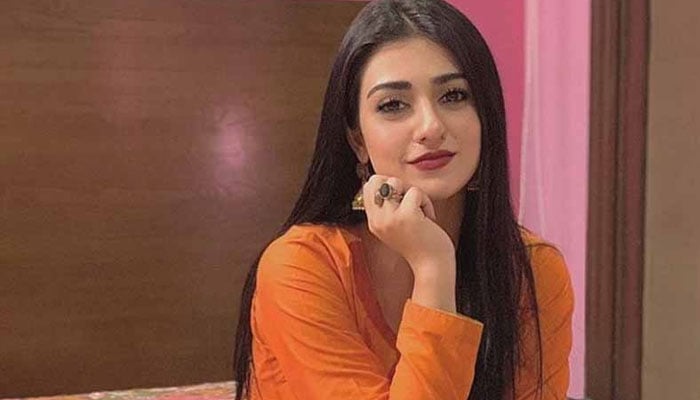 فیمینسٹ نہیں، لائنوں میں کھڑے ہوکر بل نہیں بھر سکتی: سارہ خان