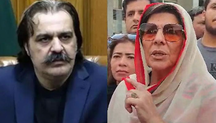علیمہ خان اور علی امین کے درمیان نہ پہلے اختلافات تھے اور نہ اب ہیں، ترجمان