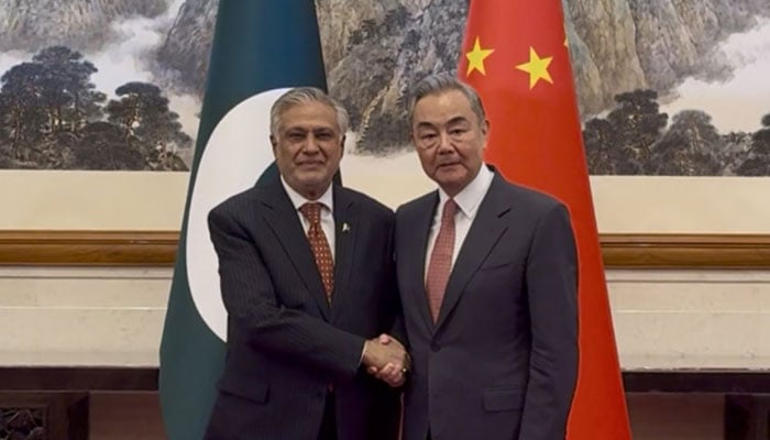 چین کا پاکستان کی خود مختاری اور علاقائی سالمیت کے تحفظ میں ساتھ دینےکا اعلان