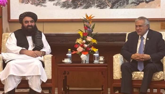 پاکستان اور افغانستان کا تجارت، رابطہ کاری اور سکیورٹی تعاون بڑھانے پر اتفاق