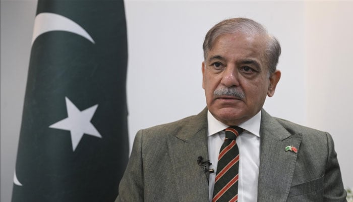 بھارت سے جب مذاکرات ہوں گے تو کشمیر، پانی، تجارت اور دہشتگردی کے حوالے سے بات ہوگی: وزیراعظم