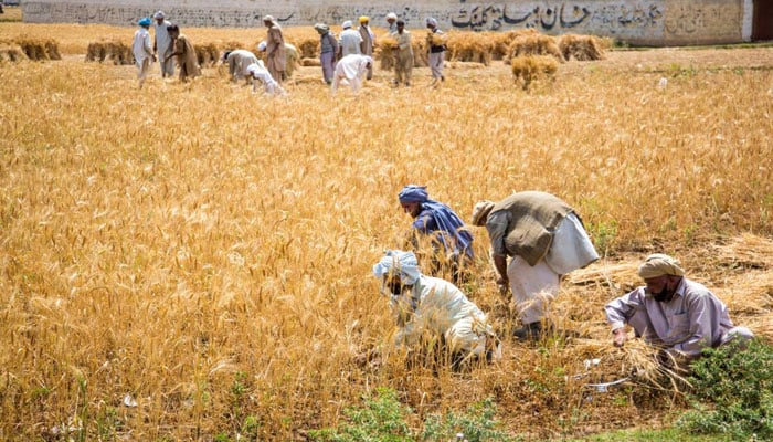 آئی ایم ایف کا کھاد پر 10 فیصد اور زرعی زہر پر 5 فیصد ٹیکس کیلئے دباؤ