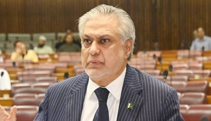 بھارتی پراکسیز کو باز  آجانا چاہیے اور بھارت کو جو جواب ملا اس سے سبق سیکھنا چاہیے: اسحاق ڈار