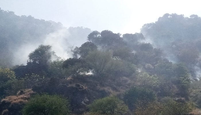 خیبرپختونخوا میں گرمی کی شدید لہر، 8 مختلف مقامات پر جنگلات میں آگ لگ گئی