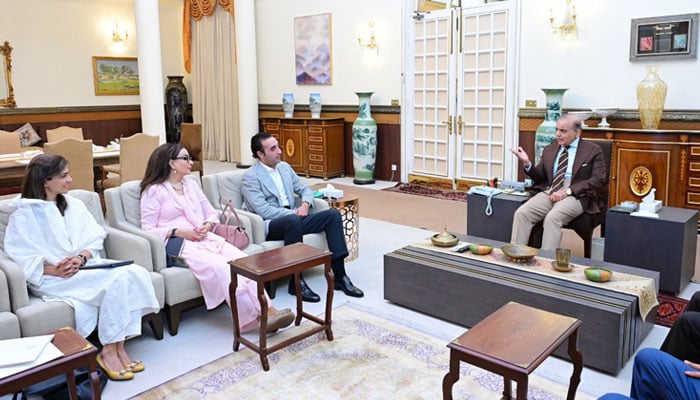 بلاول کی ملاقات، اہم دارالحکومتوں میں پاکستانی مؤقف سامنے رکھنے کیلئے وزیراعظم سے رہنمائی لی