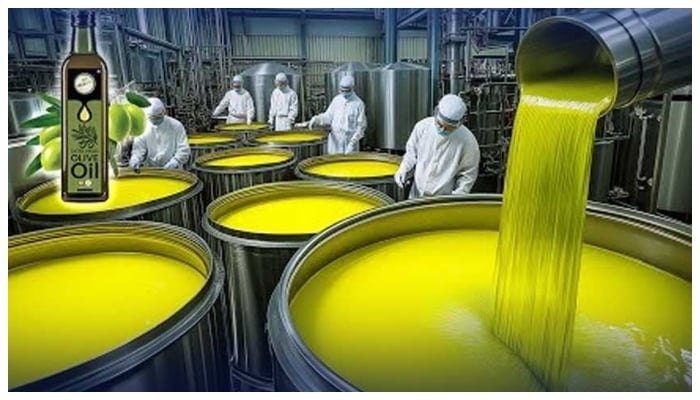 بلوچستان کے زیتون کے تیل نے امریکا میں ہونیوالے مقابلے میں تمغہ جیت لیا