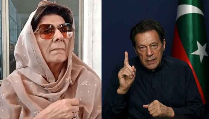 وکٹ کے دونوں جانب کھیلنے والوں کی پارٹی میں جگہ نہیں، پارٹی بڑی تحریک کی تیاری کرے: عمران خان