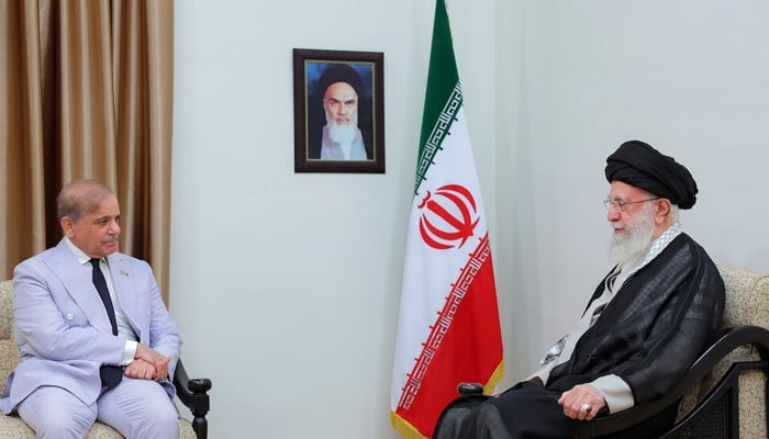 مسئلہ فلسطین پر پاکستان کا مؤقف نہایت قابل ستائش ہے: ایرانی سپریم لیڈر