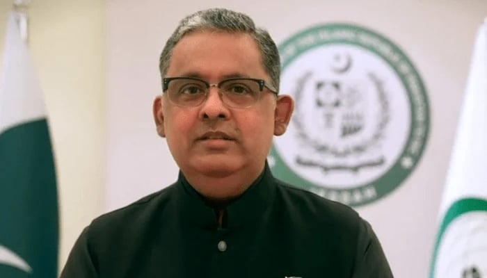 پاک بھارت حالیہ کشیدگی کے بعد مسئلہ کشمیر ابھرکر دنیا کے سامنے آیا، پاکستانی سفیر